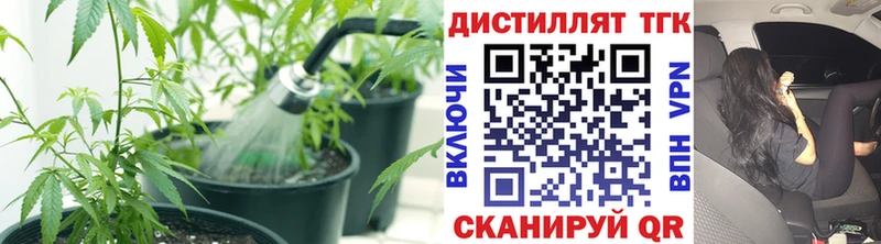 Дистиллят ТГК концентрат  hydra   Покачи 