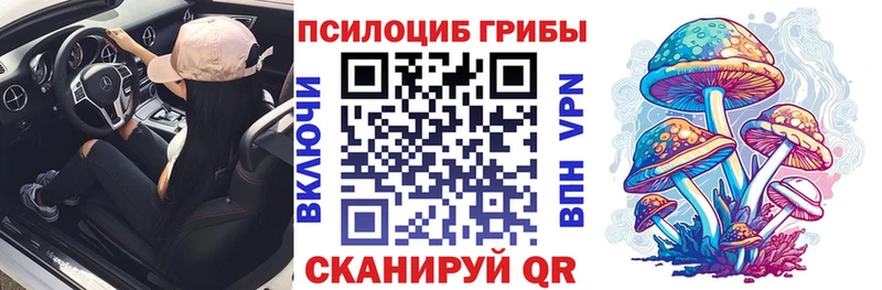 Псилоцибиновые грибы Psilocybine cubensis  Покачи 